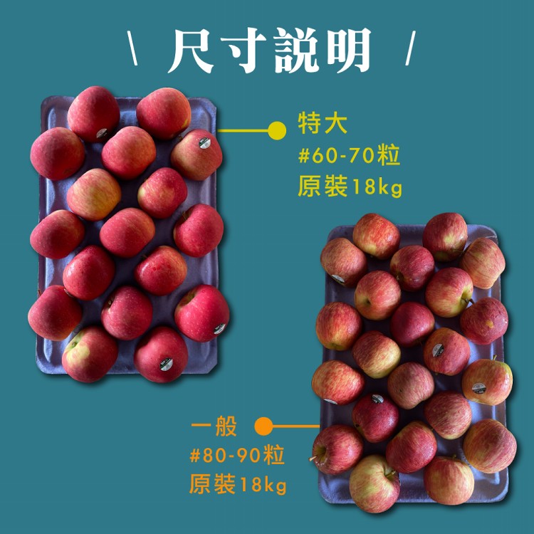 【水果狼】紐西蘭富士蘋果特大 原裝60-70顆 /18kg
