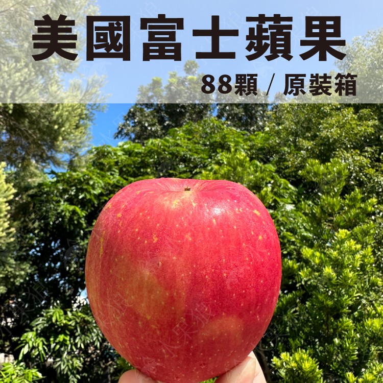 免運!【水果狼】美國富士蘋果 原裝88-100粒 原裝88-100粒,20kg/箱