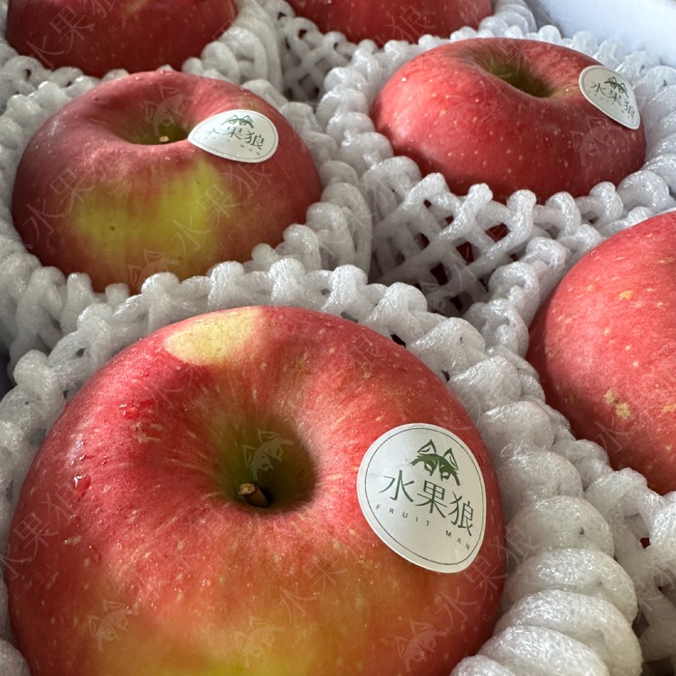 【水果狼】美國富士蘋果 6顆禮盒1kg 水果禮盒