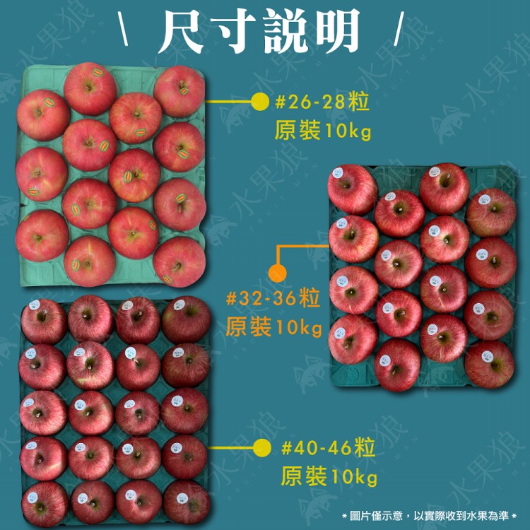 【水果狼】日本青森縣蜜富士蘋果 原裝32-36粒 蜜蘋果 青森蘋果