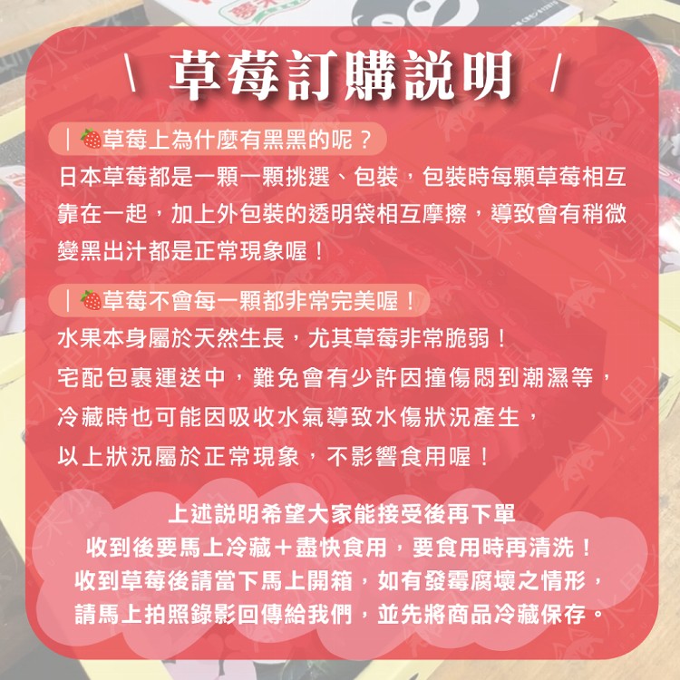 【水果狼】日本嚴選空運熊本/佐賀/福岡草莓 一盒兩托 日本草莓 水果禮盒
