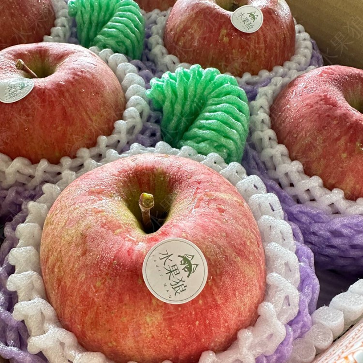 【水果狼】特大 日本青森縣蜜富士蘋果禮盒 6粒 蜜蘋果 青森蘋果