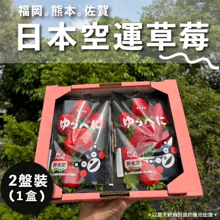 【水果狼】日本嚴選空運熊本/佐賀/福岡草莓 一盒兩托 日本草莓 水果禮盒