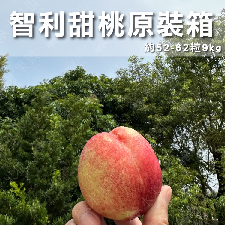 【水果狼】嚴選智利甜桃原裝箱 52-62顆裝 / 9kg 免運
