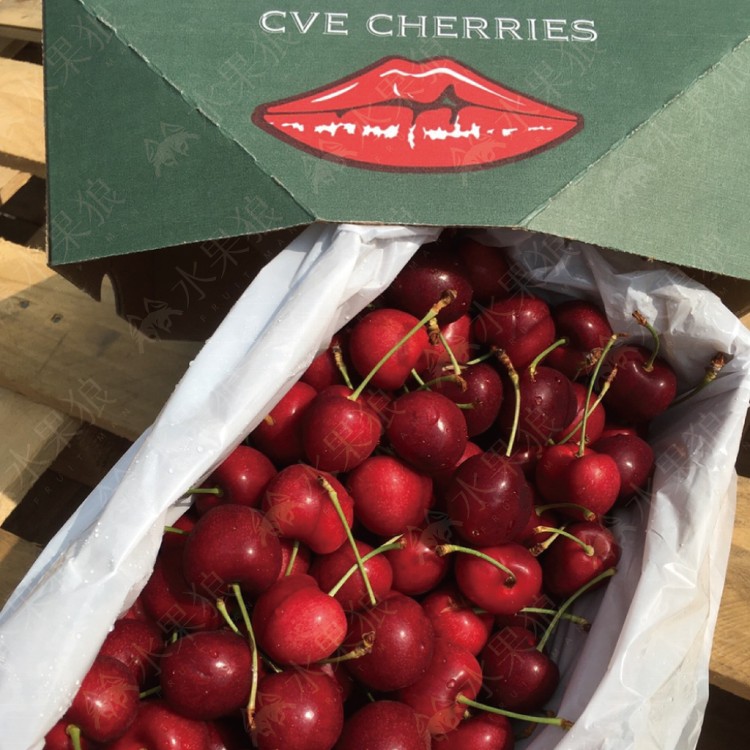 【水果狼】紐西蘭大嘴巴空運櫻桃 30mm (2kg/盒) 櫻桃 水果禮盒 櫻桃禮盒 紅嘴唇