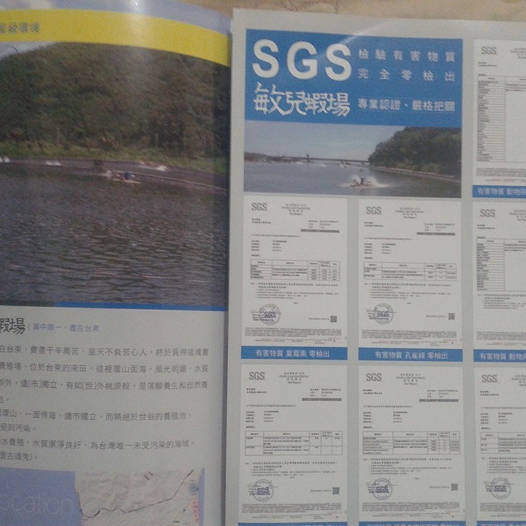 台東無毒蝦600克(約24~30尾)