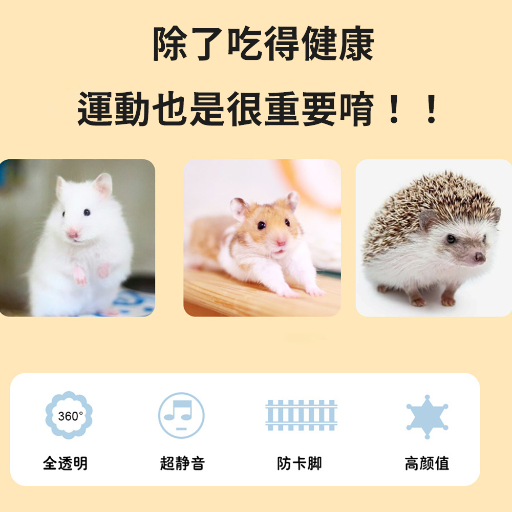 除了吃得健康,運動也是很重要唷!!360°,全透明,超静音,防卡脚,高颜值。