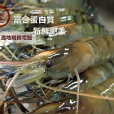 福利蝦