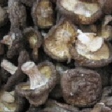 埔里小鈕釦香菇(半斤裝)B級品 埔里小鈕釦香菇(半斤裝)B級品