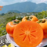 柿柿如意摩天嶺富有甜柿-12顆平裝箱（8A）