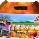 頂級橙蜜小番茄 5斤禮盒宅配到府