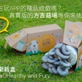 GUGO/菇果樂栽盒