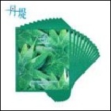 蘆薈面膜