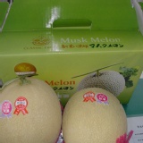 哈密瓜特選禮盒 特價：$499