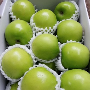 高雄燕巢珍蜜棗子禮盒5斤裝