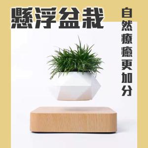 神奇！懸空的植物擺飾【懸浮盆栽】磁浮 飛起來 植栽 布置 花盆 觀葉 造景 辦公室 送禮 交換禮物