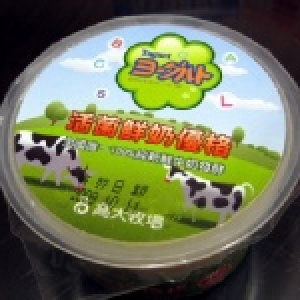 高大活菌鮮奶優格100g