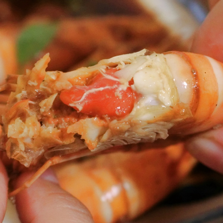 【蝦大爺】產地直售宅配~新鮮泰國蝦-母蝦