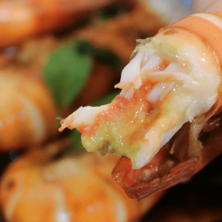 【蝦大爺】產地直售宅配~新鮮泰國蝦-母蝦