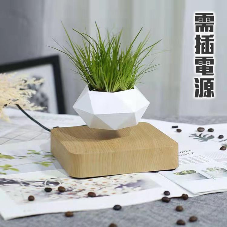 神奇！懸空的植物擺飾【懸浮盆栽】磁浮 飛起來 植栽 布置 花盆 觀葉 造景 辦公室 送禮 交換禮物
