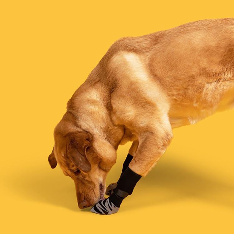 【狗狗防滑襪】一組四隻腳