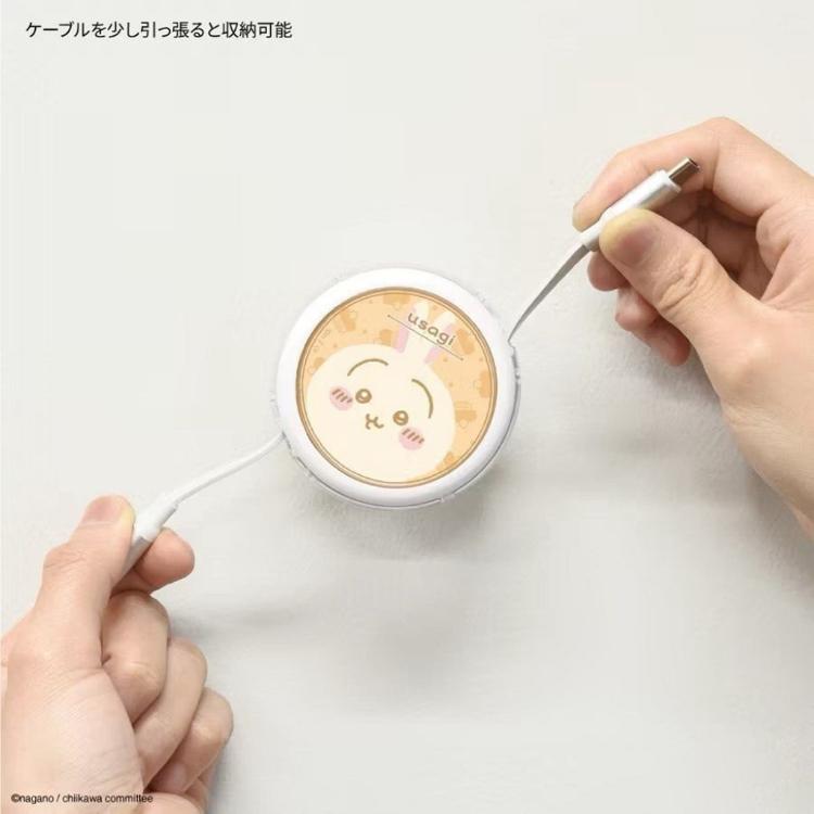 【原價$699】全新正版 吉伊卡哇 烏薩奇Type-C 傳輸線