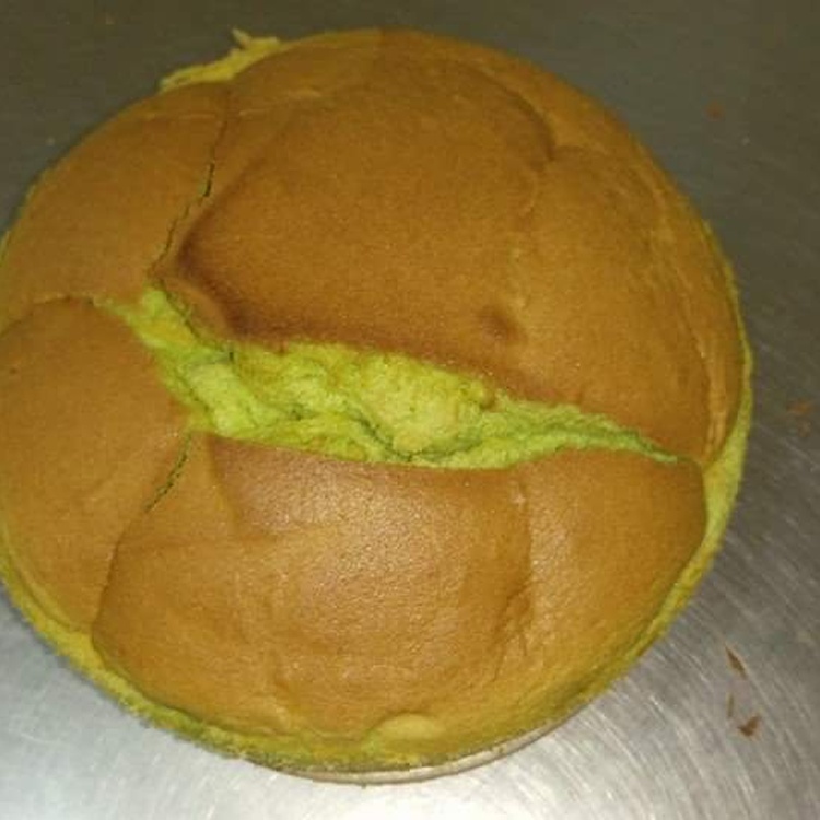 新美珍布丁蛋糕