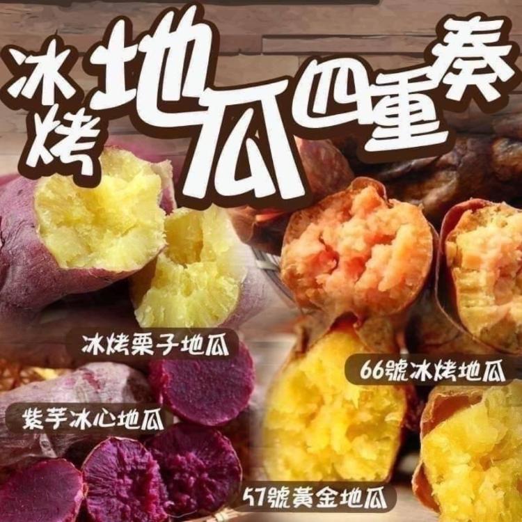【好神】冰烤地瓜四重奏-57地瓜/66地瓜/紫地瓜/栗香地瓜(500g/包)任選