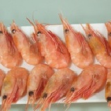 《Ally的家》甜蝦一隻一元，每包10隻，限量供應! 再30份促銷，每個帳號限購一包!