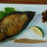 土托魚切片，油度適中，約250g左右/片 嘗鮮價:80元