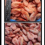 《Ally的家》甜蝦一隻2元，每個帳號限購一包!