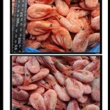 《Ally的家》甜蝦，鮮甜美味，品質佳，不用解凍也能直接食用!