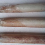 活凍小卷(透抽)，甘甜美味，單隻包裝，完全沒包冰! 特價：$69