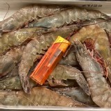 550g+-10%