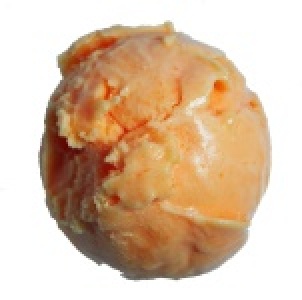 義大利手工冰淇淋橙橘香濃哈蜜瓜