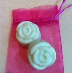 防蚊香氛磚(綠) 特價：$59