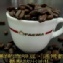 PROBAT巴西咖啡豆 品質穩定、促銷價250元/磅!