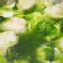 《Ally的家》正澎湖海菜 300g/盒，富含各種人體所需的礦物質，營養價值非常高!