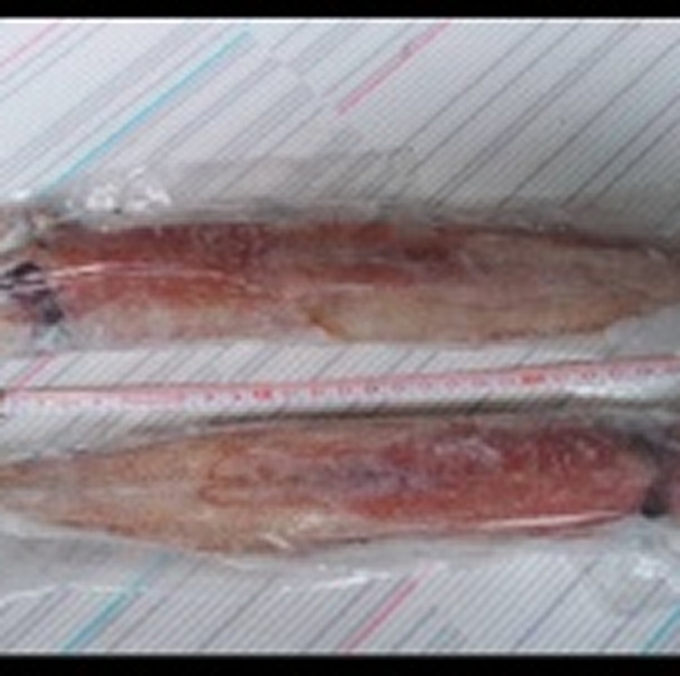 活凍小卷(透抽)，甘甜美味，單隻包裝，完全沒包冰!