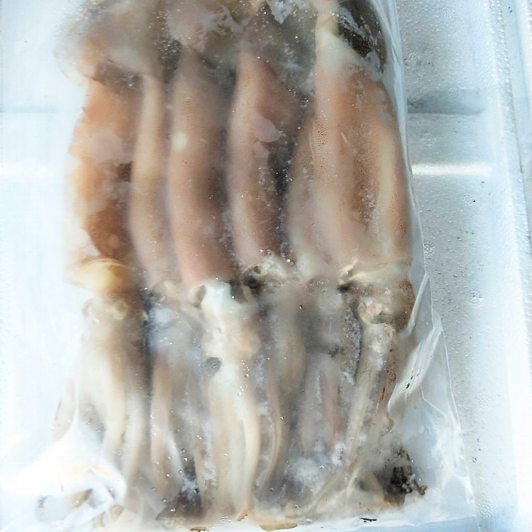 阿根廷魷魚串