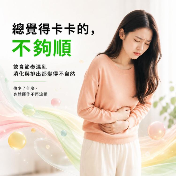 【Wellness】95蔬果綜合酵素膠囊