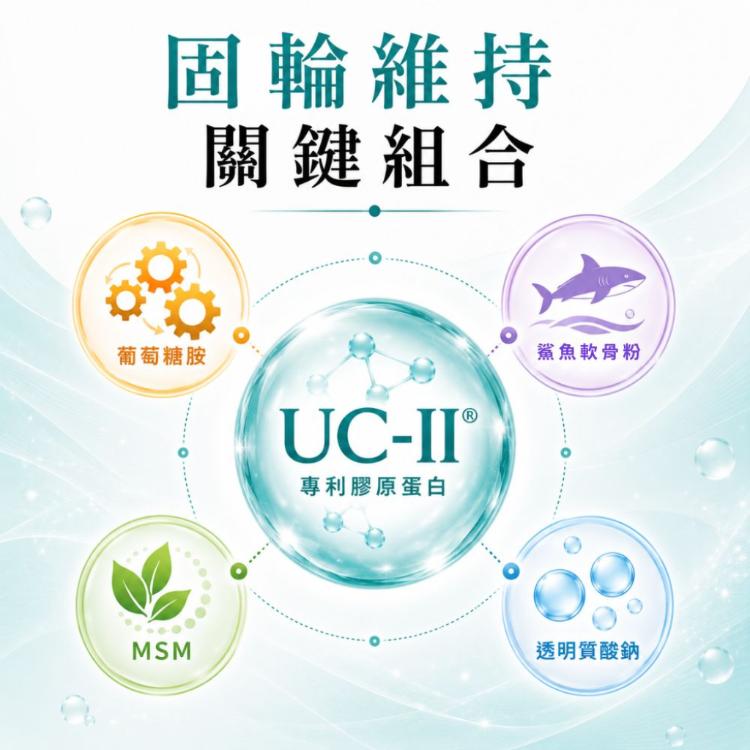 【LOHAS優活】 膠原葡萄糖胺UC-II膠囊