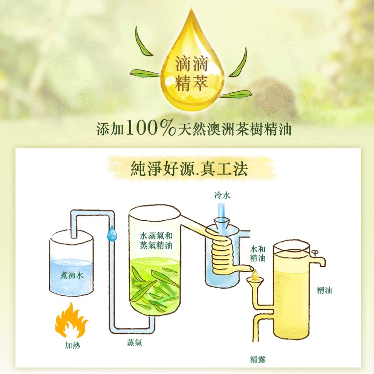 添加100%天然澳洲茶樹精油，純淨好源.真工法，水蒸氣和，蒸氣精油，煮沸水。
