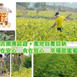 紅豆8仔《草地狀元介紹~正台灣味農產品(有驗證)2014年吉園圃萬丹紅豆》真空包裝預購價要$100元 特價:$100 紅豆8仔《草地狀元介紹~正台灣味農產品(有驗證)2014年吉園圃萬丹紅豆》真空包裝預購價要$100元 特價:$100