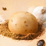 子若 ⊕ 黑糖桂圓饅頭 6入 (3小包)