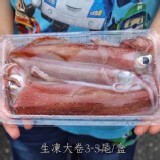 台灣野生船凍生大卷3-4尾裝(300g± 10 %盒）