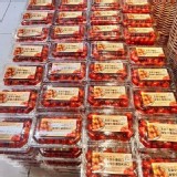 美濃玉女小番茄(一斤盒裝)