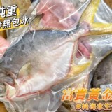 海金鯧魚（500-550g）