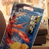 《❤愛吃小熊❤》KaKa龍蝦餅 原味 90g 特價：$55