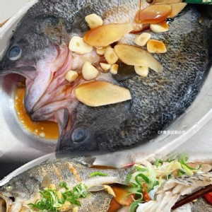 南澳山泉鱸魚-蝴蝶切（500-600g/尾）